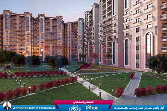 WhatsApp Image 2025-09-01 at 2.46.57 PM