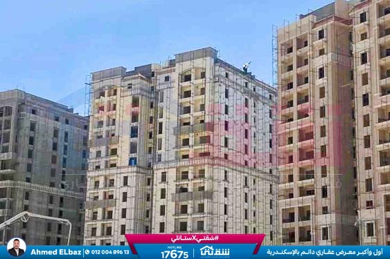 WhatsApp Image 2025-09-01 at 2.47.00 PM (1)