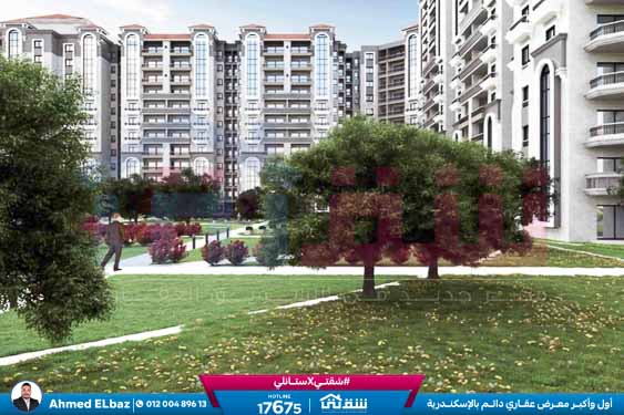 WhatsApp Image 2025-09-01 at 2.47.01 PM (1)