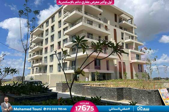 WhatsApp Image 2025-09-06 at 2.17.00 PM