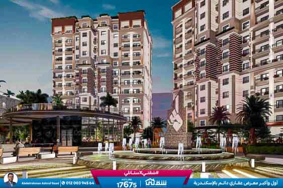 WhatsApp Image 2025-09-11 at 2.21.25 PM