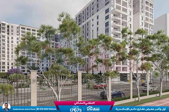 WhatsApp Image 2025-09-11 at 5.34.52 PM (2)