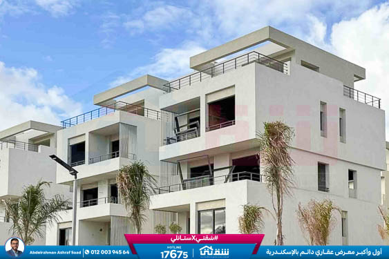 WhatsApp Image 2025-09-13 at 5.38.53 PM (1)