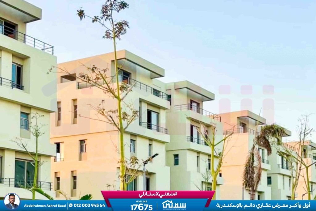 WhatsApp Image 2025-09-13 at 5.38.57 PM (1)