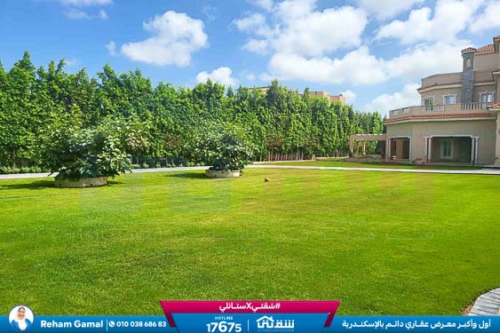 WhatsApp Image 2025-10-05 at 6.16.11 PM