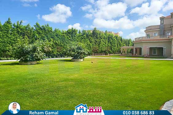 WhatsApp Image 2025-10-05 at 6.16.11 PM