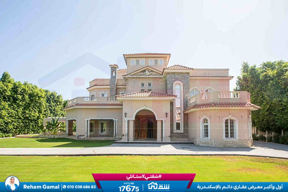 WhatsApp Image 2025-10-05 at 6.16.12 PM