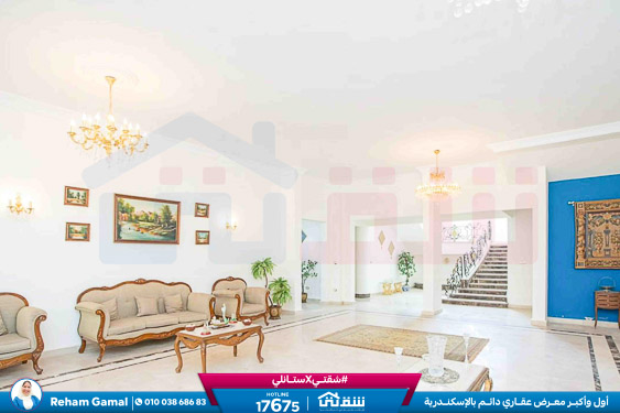 WhatsApp Image 2025-10-05 at 6.16.21 PM (1)