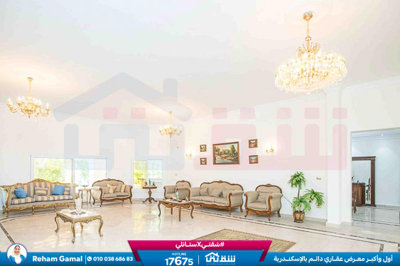 WhatsApp Image 2025-10-05 at 6.16.21 PM