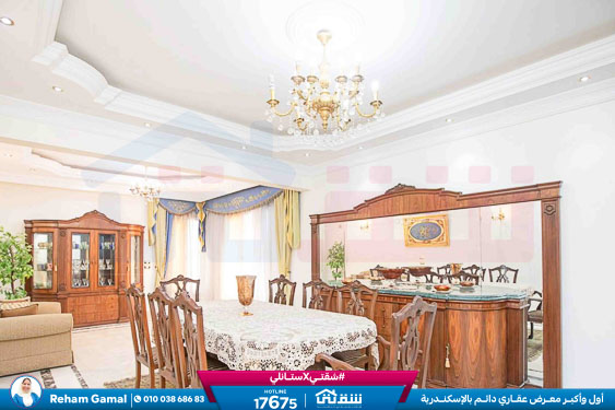 WhatsApp Image 2025-10-05 at 6.16.22 PM (1)