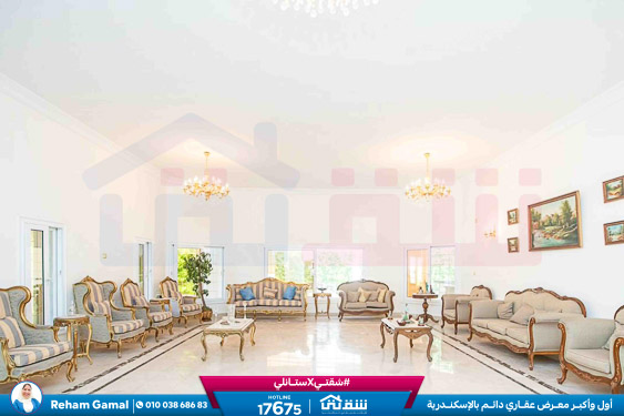 WhatsApp Image 2025-10-05 at 6.16.22 PM