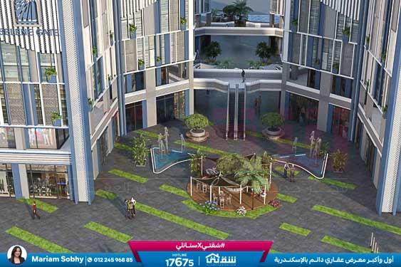 WhatsApp Image 2025-11-03 at 3.26.06 PM (1)