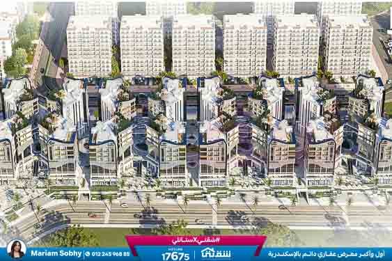 WhatsApp Image 2025-11-03 at 3.26.06 PM