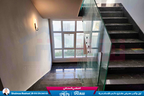 WhatsApp Image 2025-11-08 at 3.26.20 PM (1)