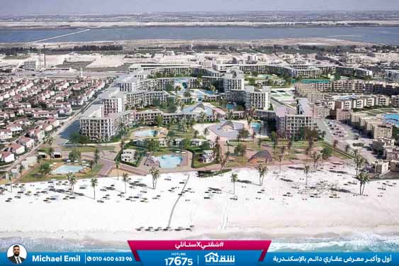 WhatsApp Image 2025-11-08 at 3.53.50 PM