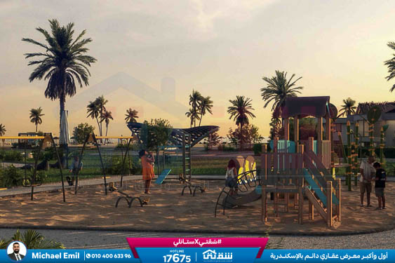 WhatsApp Image 2025-11-08 at 3.53.57 PM (1)