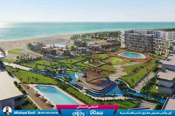 WhatsApp Image 2025-11-08 at 3.53.58 PM (1)