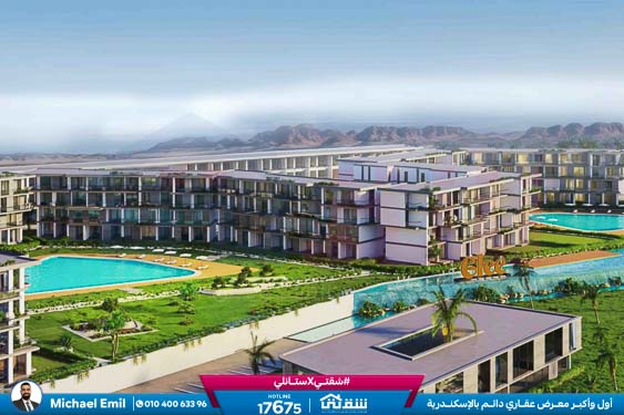 WhatsApp Image 2025-11-08 at 3.54.49 PM