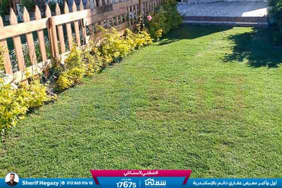 WhatsApp Image 2025-11-08 at 7.22.16 PM (1)