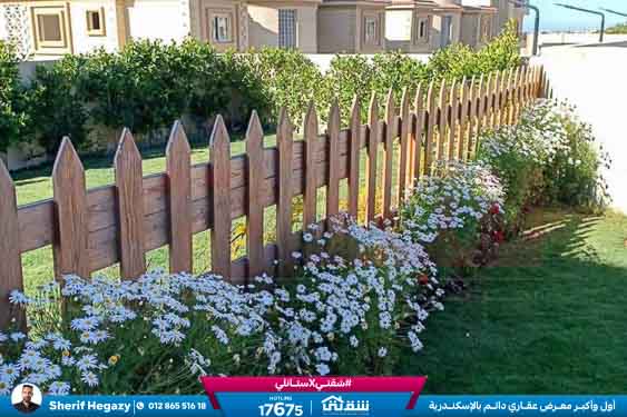 WhatsApp Image 2025-11-08 at 7.22.17 PM (1)