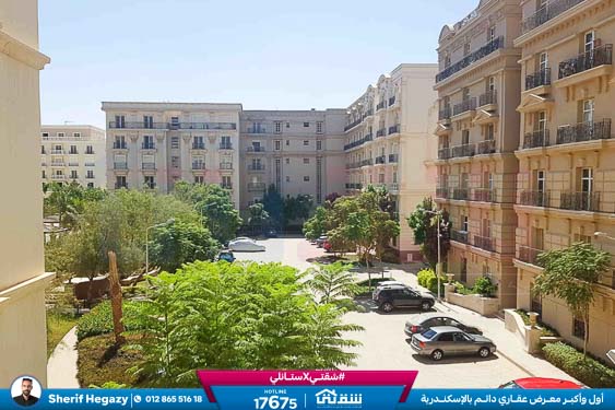 WhatsApp Image 2025-11-08 at 7.24.31 PM