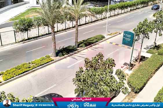 WhatsApp Image 2025-11-08 at 7.24.33 PM (1)