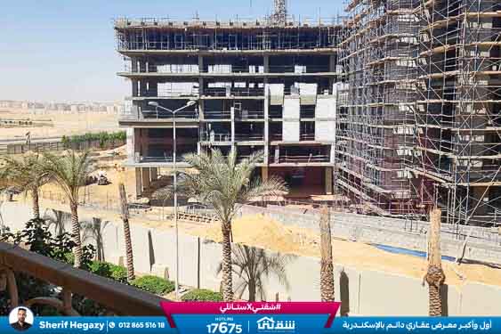 WhatsApp Image 2025-11-08 at 7.24.33 PM