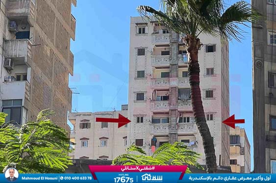 WhatsApp Image 2025-11-09 at 3.50.35 PM (1)