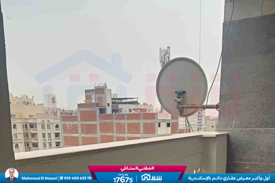 WhatsApp Image 2025-11-09 at 3.50.35 PM (2)