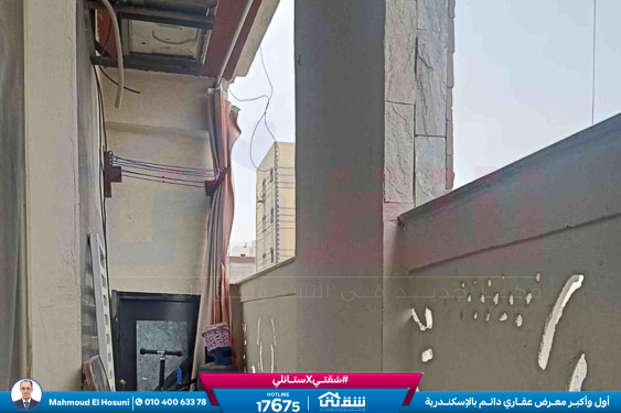 WhatsApp Image 2025-11-09 at 3.50.36 PM (1)