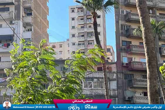 WhatsApp Image 2025-11-09 at 3.50.36 PM