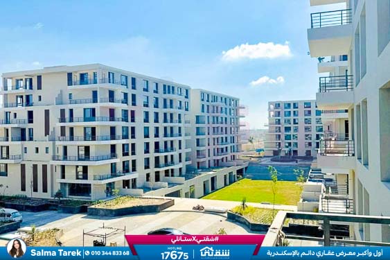 WhatsApp Image 2025-11-10 at 1.00.52 PM (1)