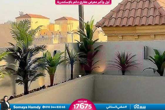 WhatsApp Image 2025-11-10 at 1.21.46 PM (1)