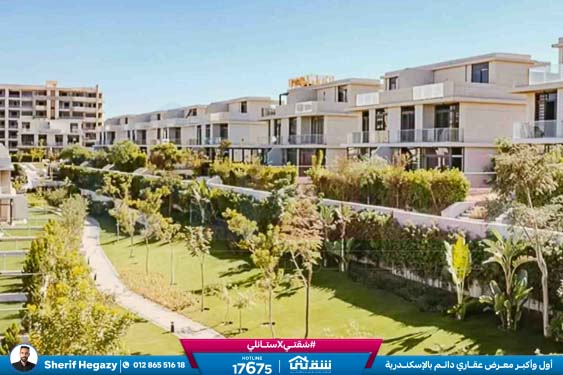 WhatsApp Image 2025-11-10 at 1.47.14 PM