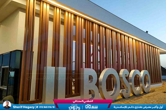 WhatsApp Image 2025-11-10 at 1.47.15 PM (1)