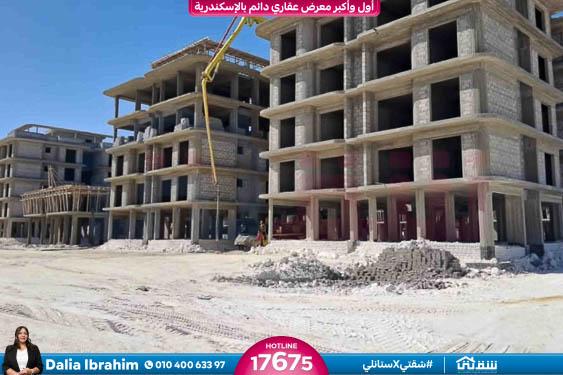 WhatsApp Image 2025-11-10 at 11.15.58 AM