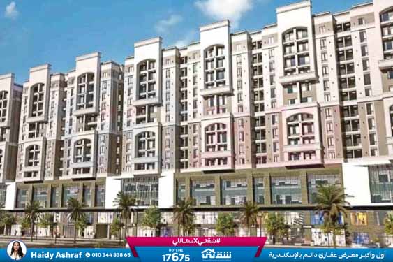 WhatsApp Image 2025-11-11 at 1.20.00 PM