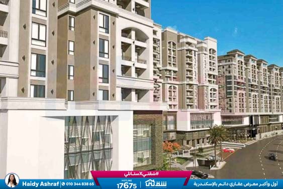 WhatsApp Image 2025-11-11 at 1.20.01 PM