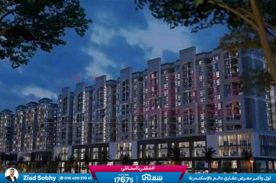 WhatsApp Image 2025-11-11 at 1.24.07 PM