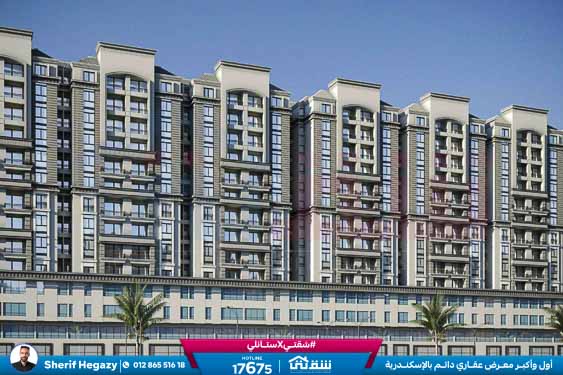 WhatsApp Image 2025-11-11 at 1.38.09 PM