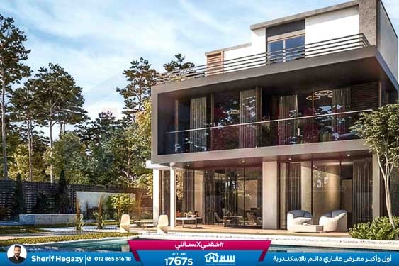 WhatsApp Image 2025-11-11 at 4.39.57 PM (1)