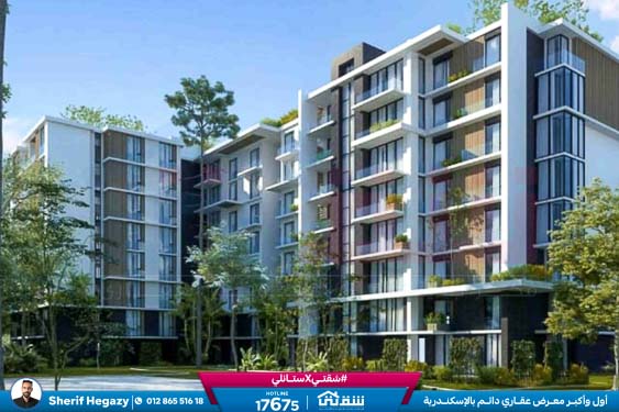 WhatsApp Image 2025-11-11 at 4.39.58 PM (1)