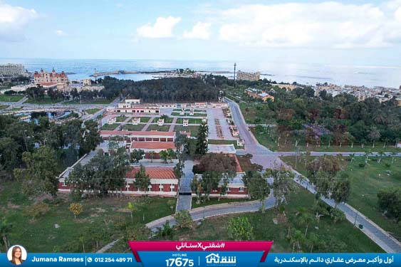 WhatsApp Image 2025-11-12 at 1.08.02 PM (1)