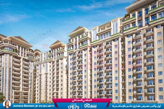 WhatsApp Image 2025-11-12 at 1.08.02 PM