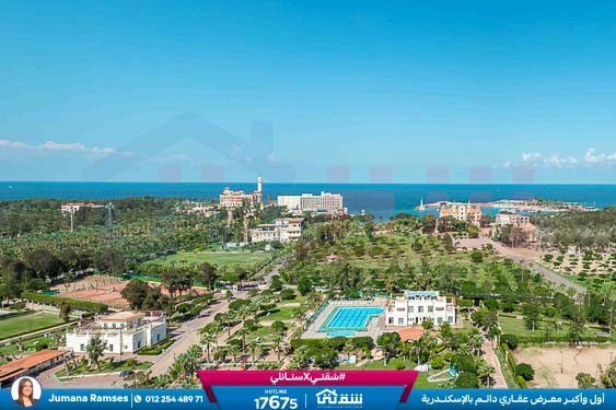 WhatsApp Image 2025-11-12 at 1.08.03 PM (1)