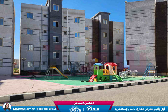 WhatsApp Image 2025-11-12 at 6.44.24 PM (1)