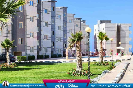 WhatsApp Image 2025-11-12 at 6.44.26 PM