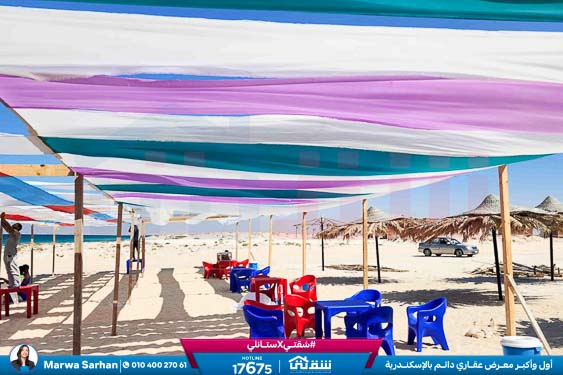 WhatsApp Image 2025-11-12 at 6.44.29 PM (1)