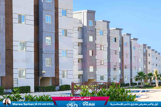 WhatsApp Image 2025-11-12 at 6.44.29 PM