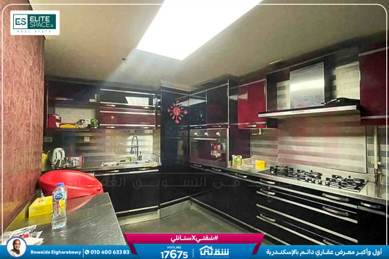 WhatsApp Image 2025-11-13 at 1.01.53 PM